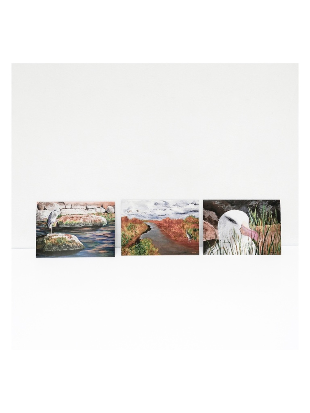 New - Pack of 10 greeting cards, 5x7, paintings by Patricia Gould